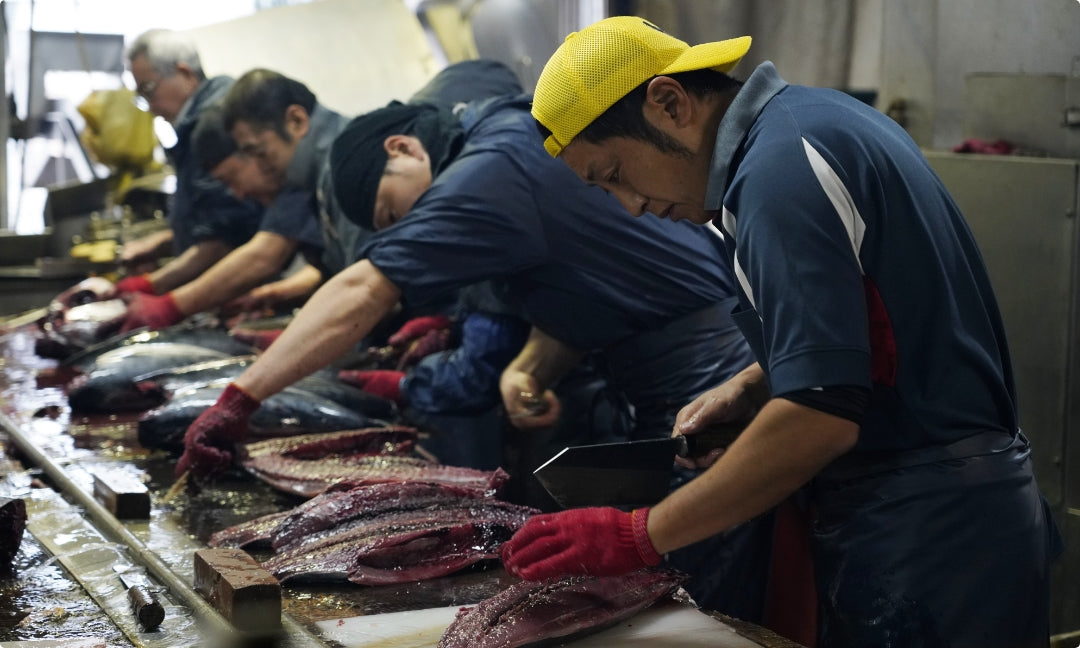 手前にくるにつれて、だんだんと鰹節の形になっていく。
