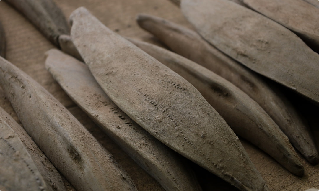 本枯節を長期熟成させている様子。