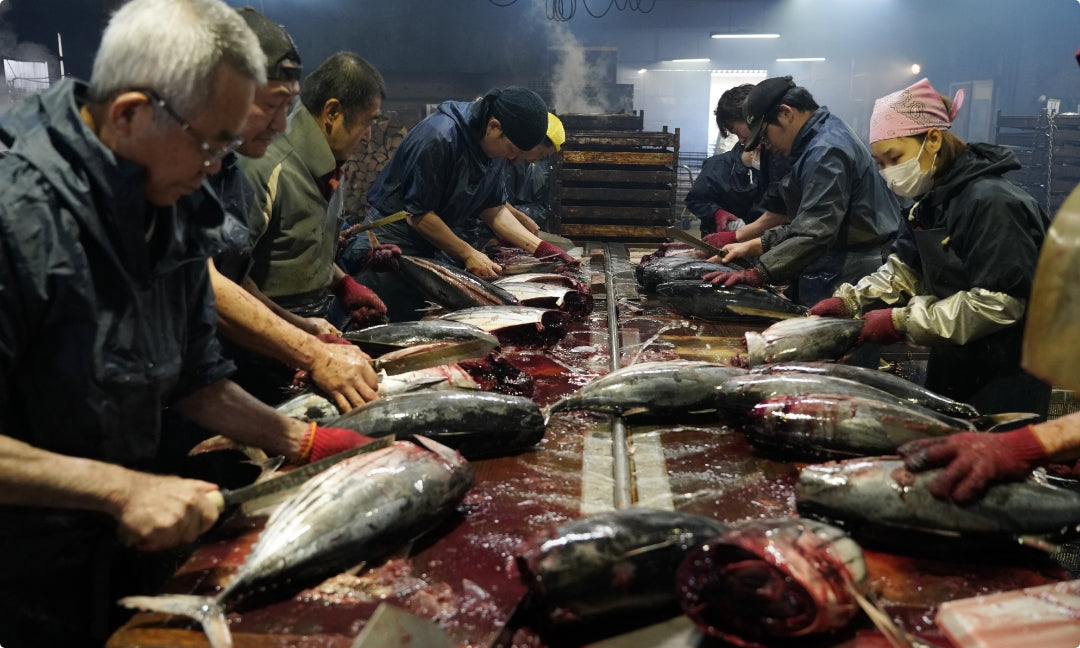 冷凍保管していたカツオを解凍し、4時間以内に作業をスタート。