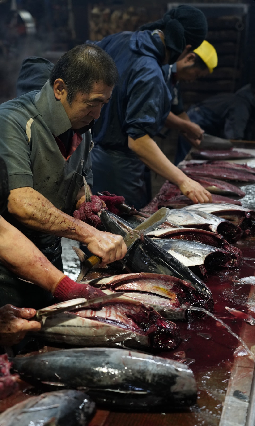 脂肪分が少なく、鮮度の良いカツオを選びます。