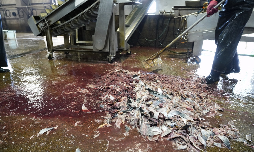 エキスたっぷりの煮汁をはじめ、はらわたや血液などは組合が回収し、健康食品や肥料として再活用させています。